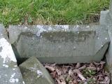 image of grave number 289487